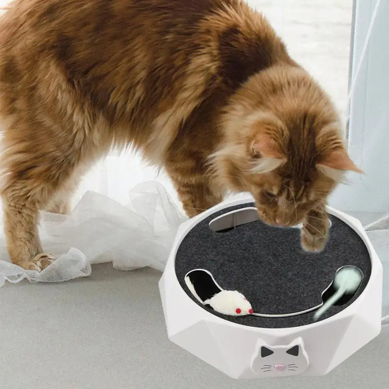 SpinPaws™ – lustiges Spiel für Ihre Katze, das sich wie Jagen anfühlt!
