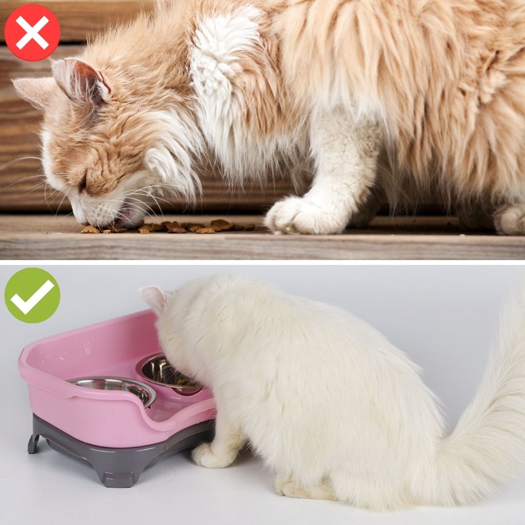 Pawsome™ Neater Feeder