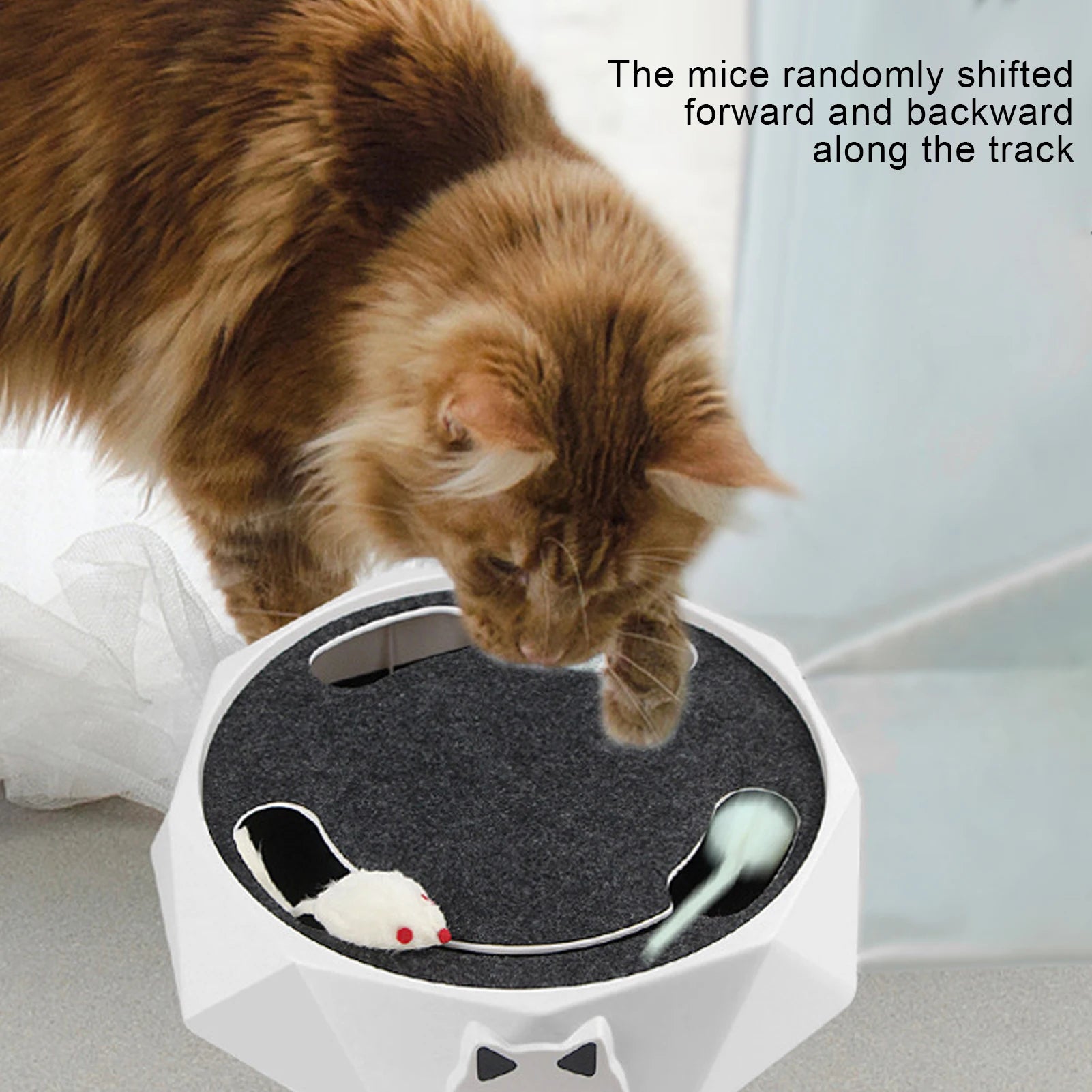 SpinPaws™ – lustiges Spiel für Ihre Katze, das sich wie Jagen anfühlt!