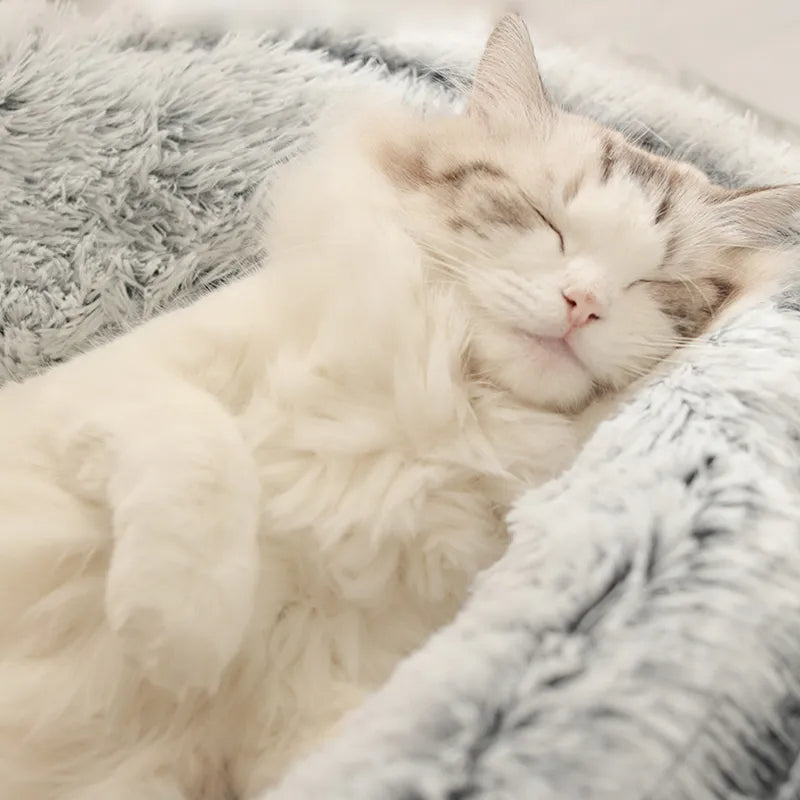 DreamDen™ - Verwöhne dein Haustier mit dem gemütlichsten Bett