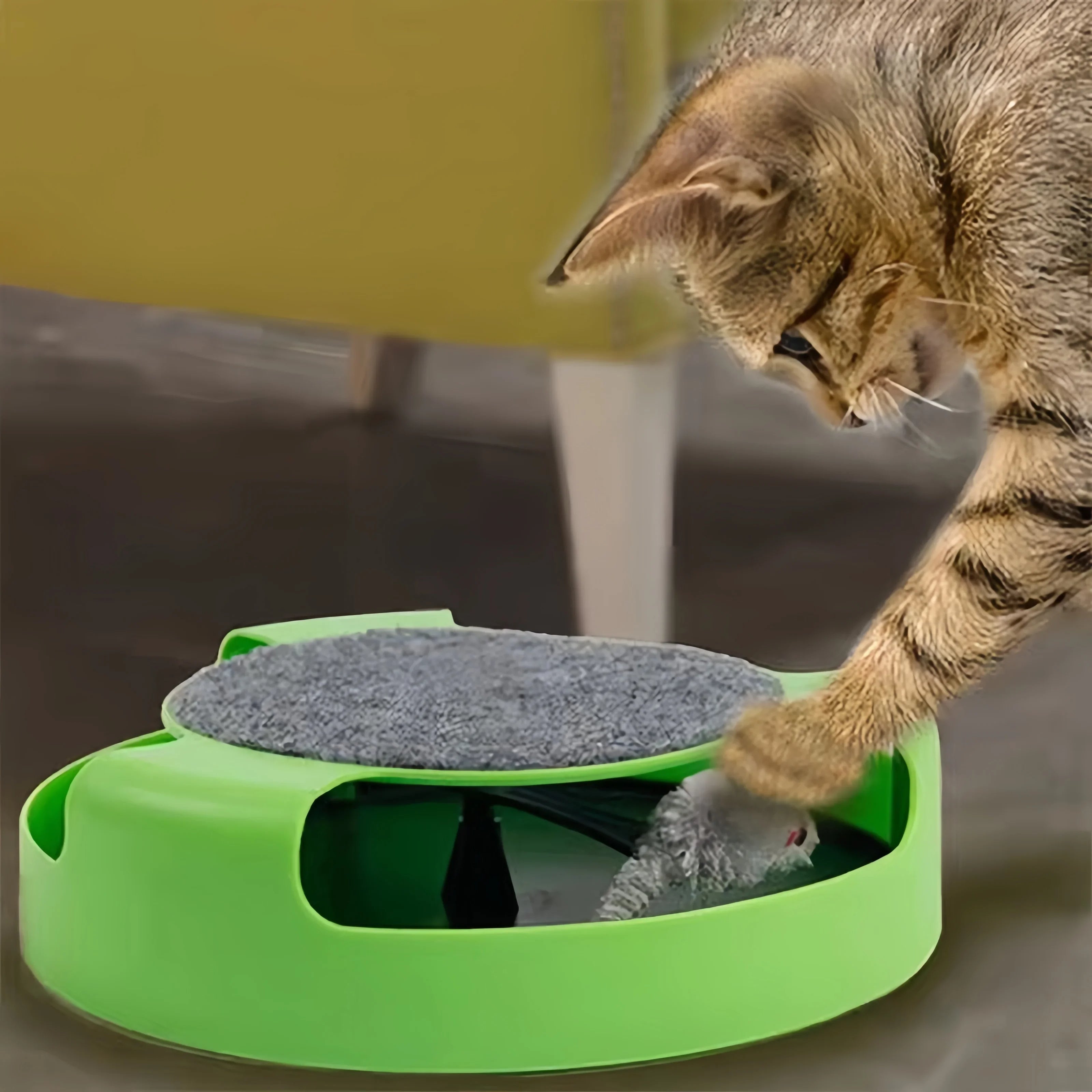 PouncePlay™ – begeistern Sie Ihre Katze mit einer sich schnell bewegenden Spielzeugmaus!