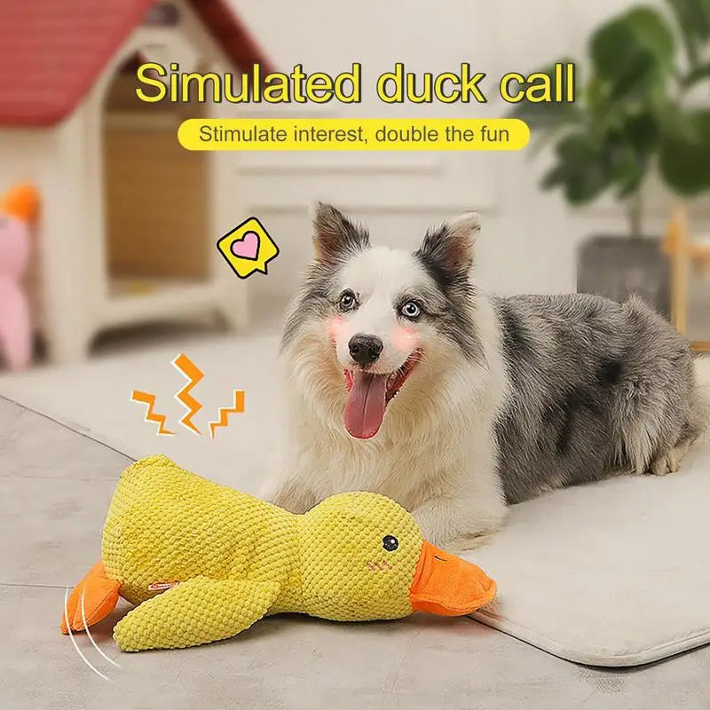 QuackCalm™ - Stressfreier Spaß für Ihren Hund