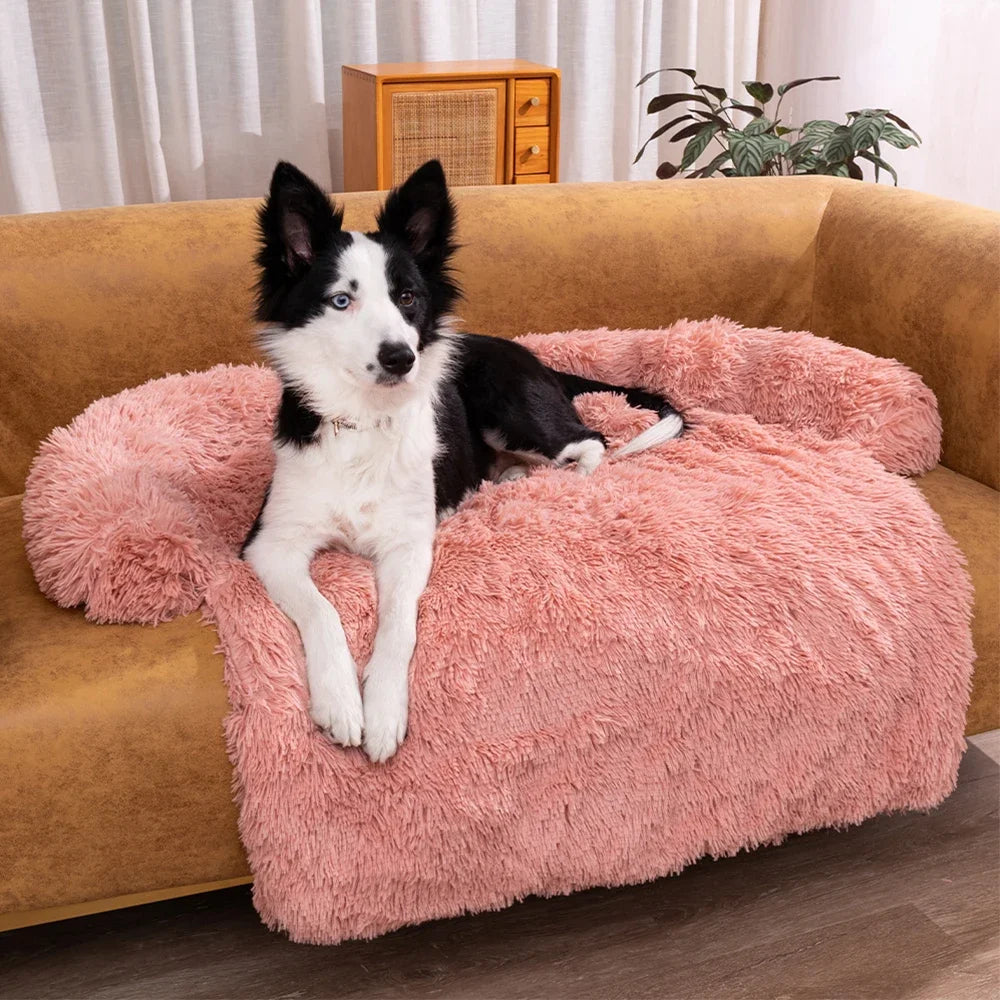 CozyPaws™ - Ultimativer Komfort für Haustiere und Schutz für dein Zuhause