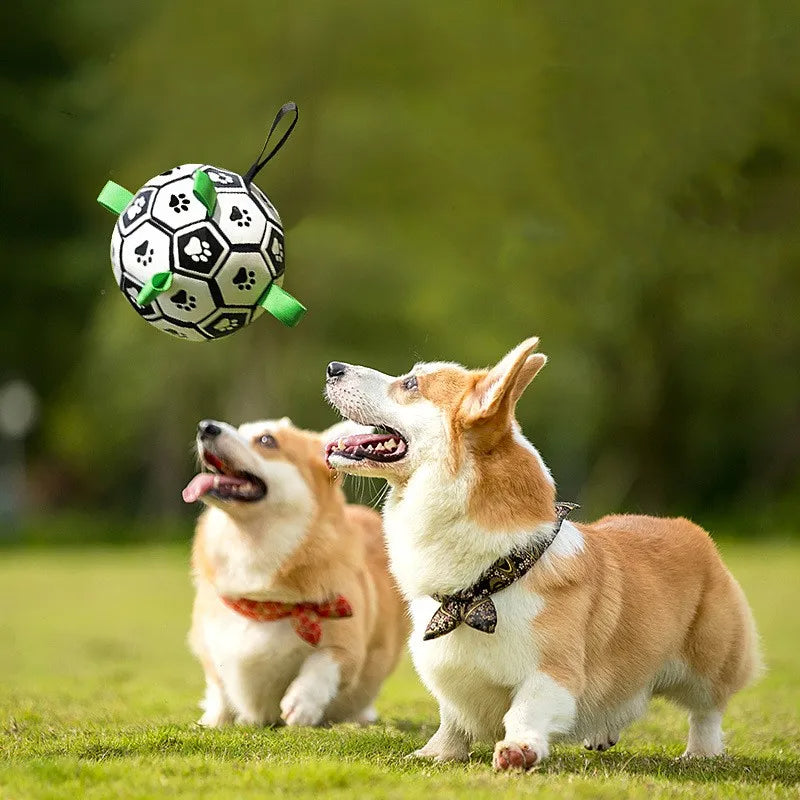 PuppyJoy™ - Halte deinen Hund mit diesem lustigen Kauspielzeug davon ab, deine teuren Möbel zu zerkauen!