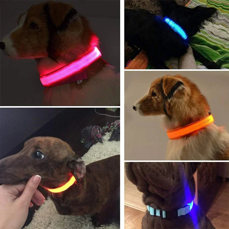 GlowPup™ – damit Ihr Hund nachts sicher, sichtbar und in Ihrer Nähe bleibt!