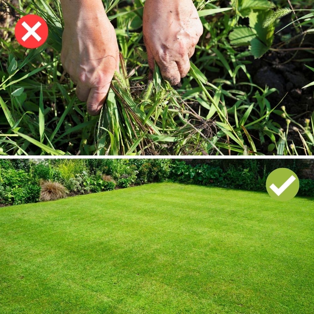 ClearCut™ - Mühelos perfekter Garten in Minuten