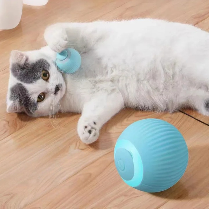 WhiskerPlay™ - Halte deine Katze im Haus glücklich und gesund