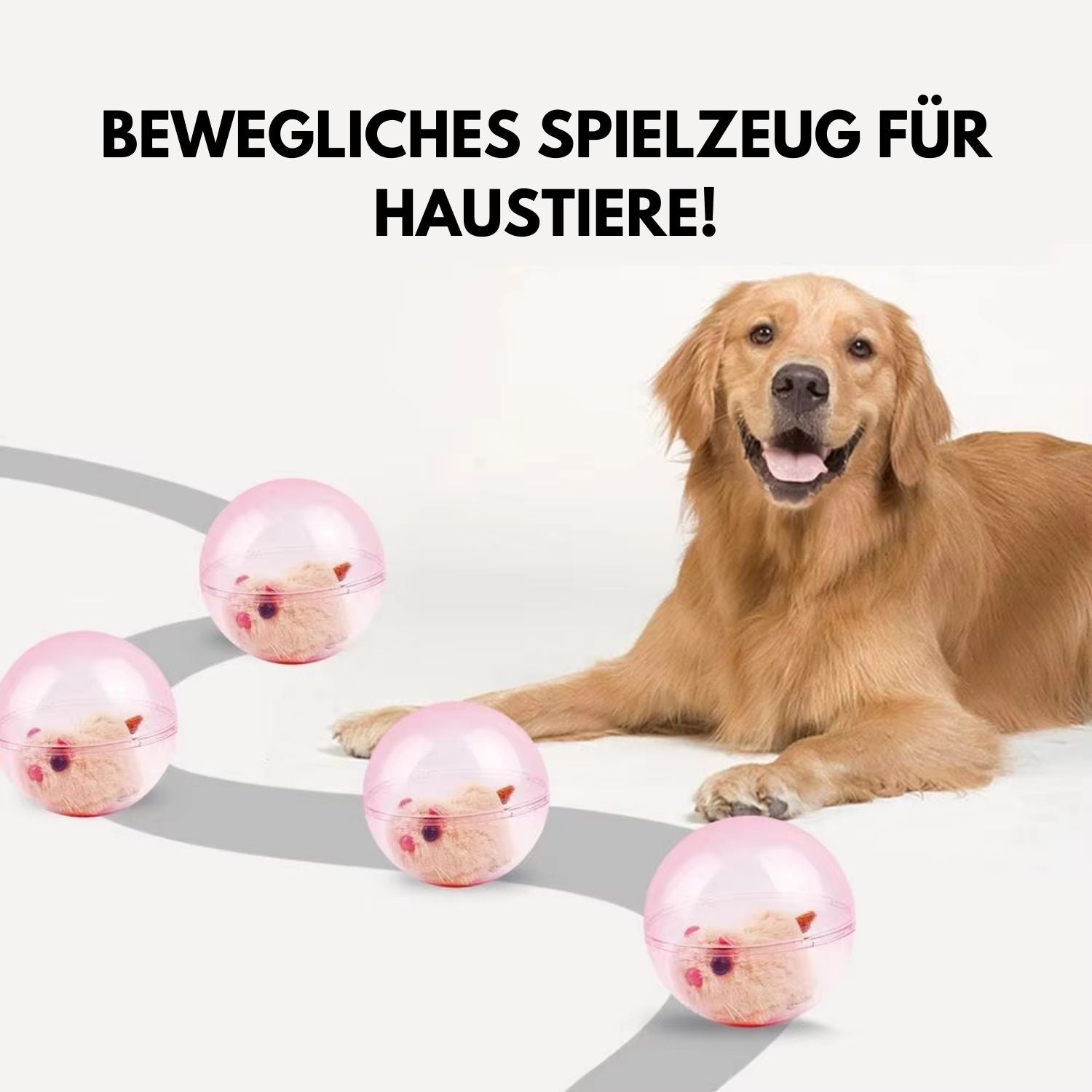 Adventure Ball™ – Schluss mit der Langeweile Ihrer Katze, her mit dem Spaß!