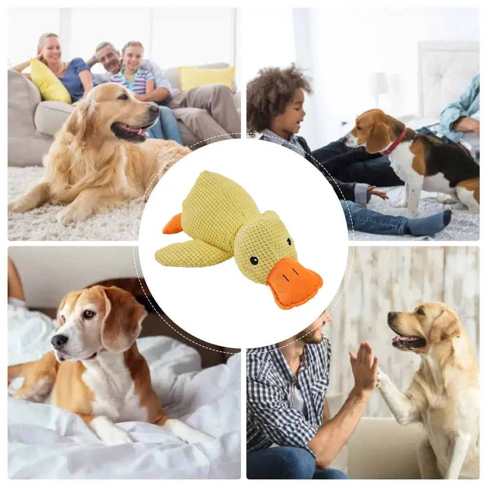 QuackCalm™ - Stressfreier Spaß für Ihren Hund