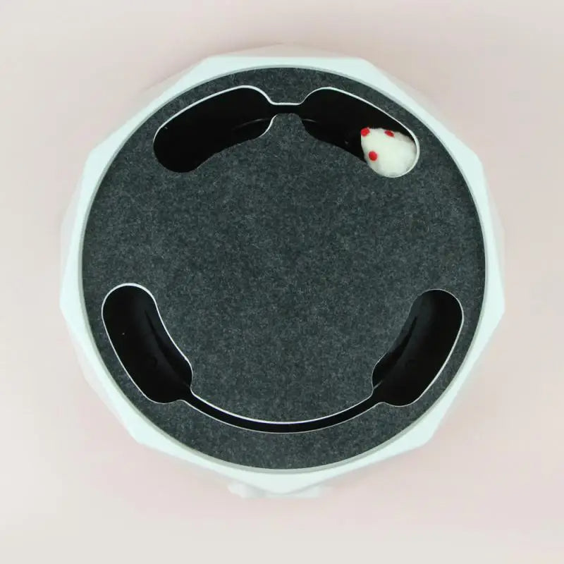SpinPaws™ – lustiges Spiel für Ihre Katze, das sich wie Jagen anfühlt!