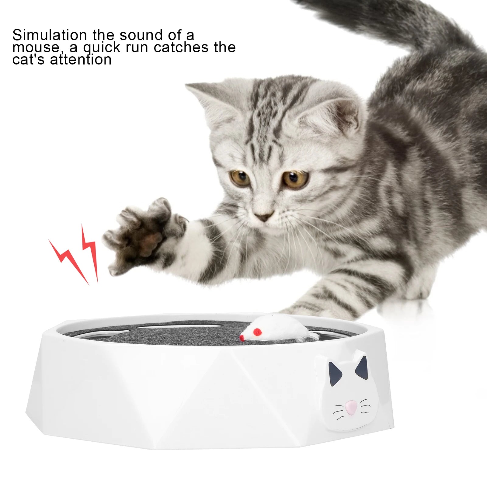 SpinPaws™ – lustiges Spiel für Ihre Katze, das sich wie Jagen anfühlt!