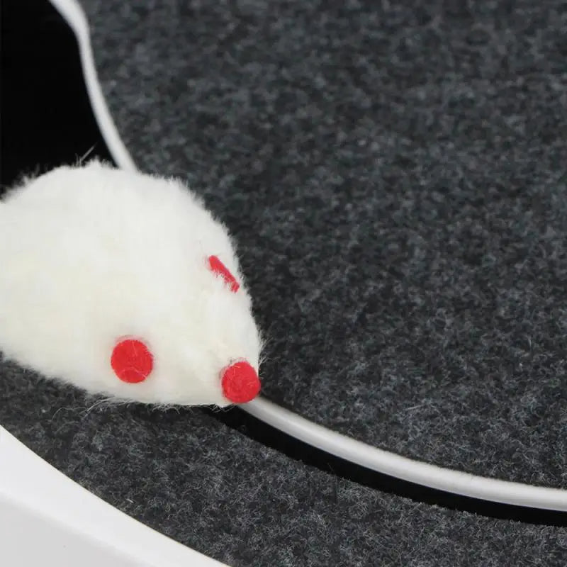SpinPaws™ – lustiges Spiel für Ihre Katze, das sich wie Jagen anfühlt!