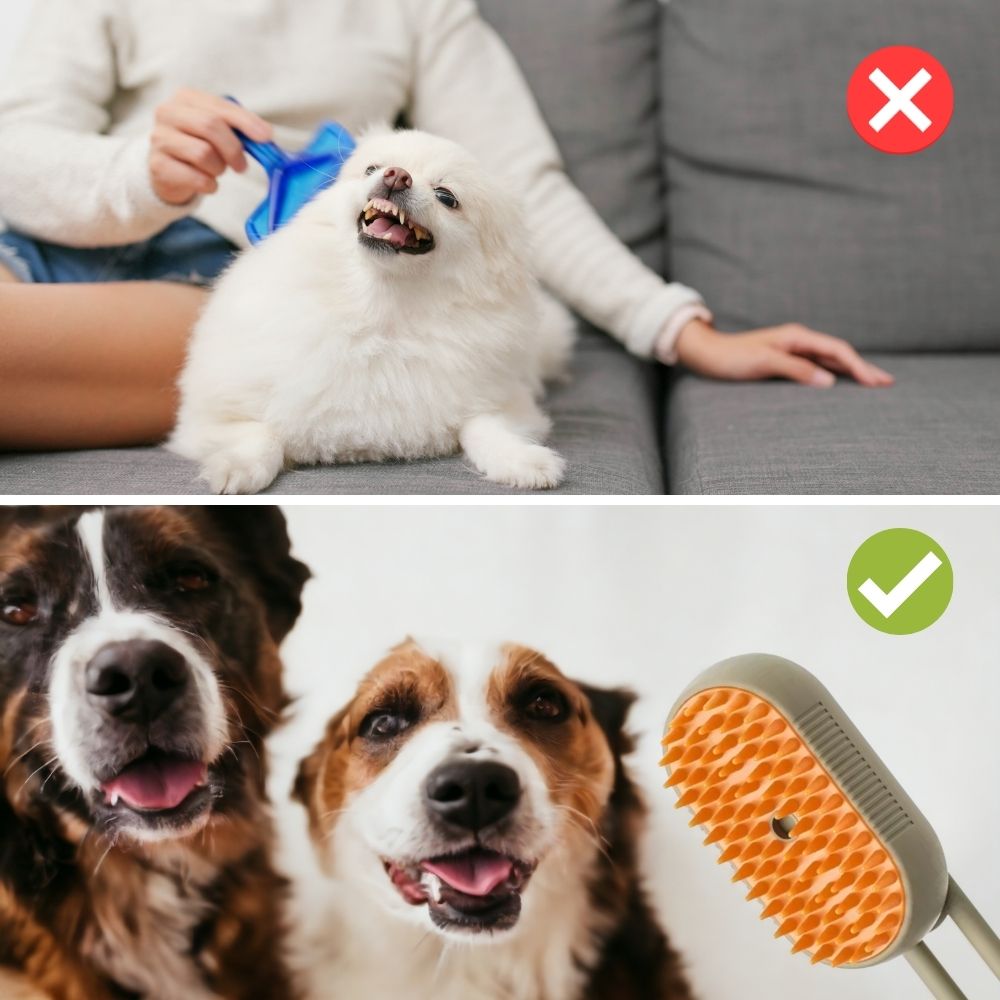 PamperPets™ - Verwöhne dein Haustier mit der besten Pflege, ohne dabei eine Sauerei zu machen!