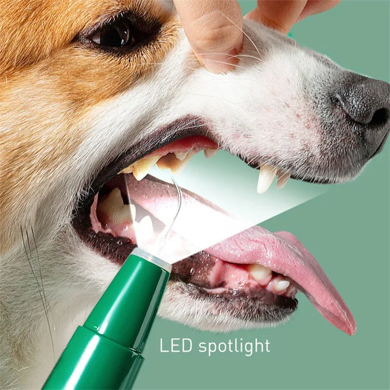 PetBright™ - Eine einfache Lösung für eine bessere Mundhygiene bei Haustieren