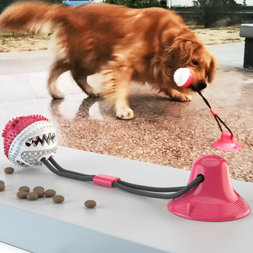 ChewBuddy™ - Halte deinen Hund zu Hause aktiv & gesund