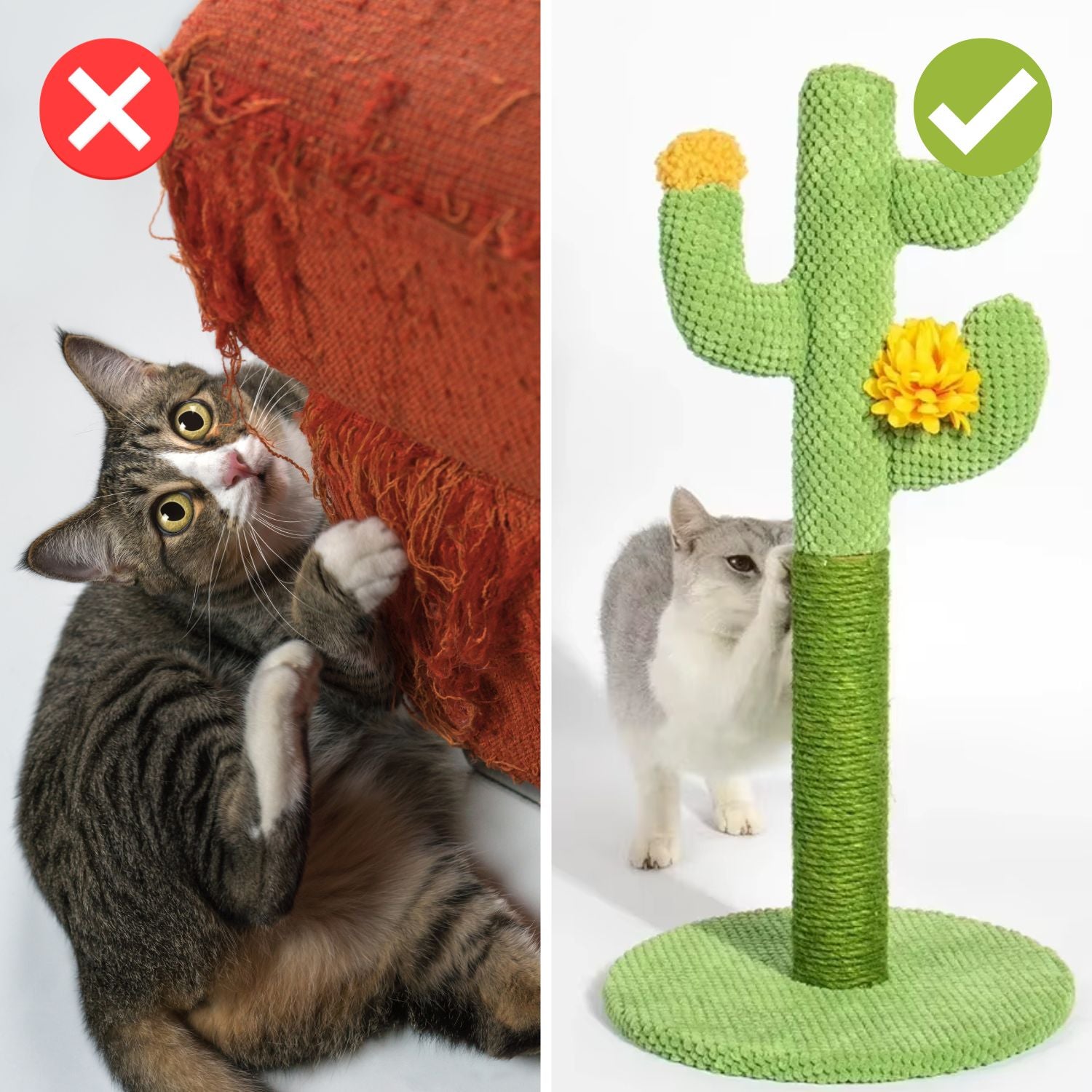 ClawCactus™ – Schonen Sie Ihre Couch und machen Sie Ihrer Katze eine Freude!