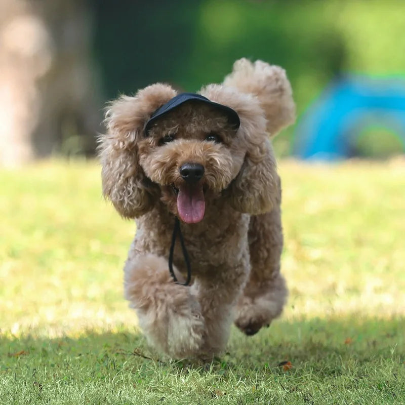 SportyPup™ - Dein Hund kann die Natur in vollen Zügen genießen und du kannst dich in Ruhe entspannen.