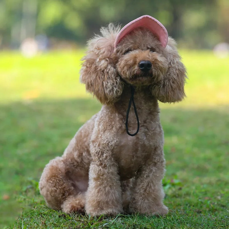 SportyPup™ - Dein Hund kann die Natur in vollen Zügen genießen und du kannst dich in Ruhe entspannen.