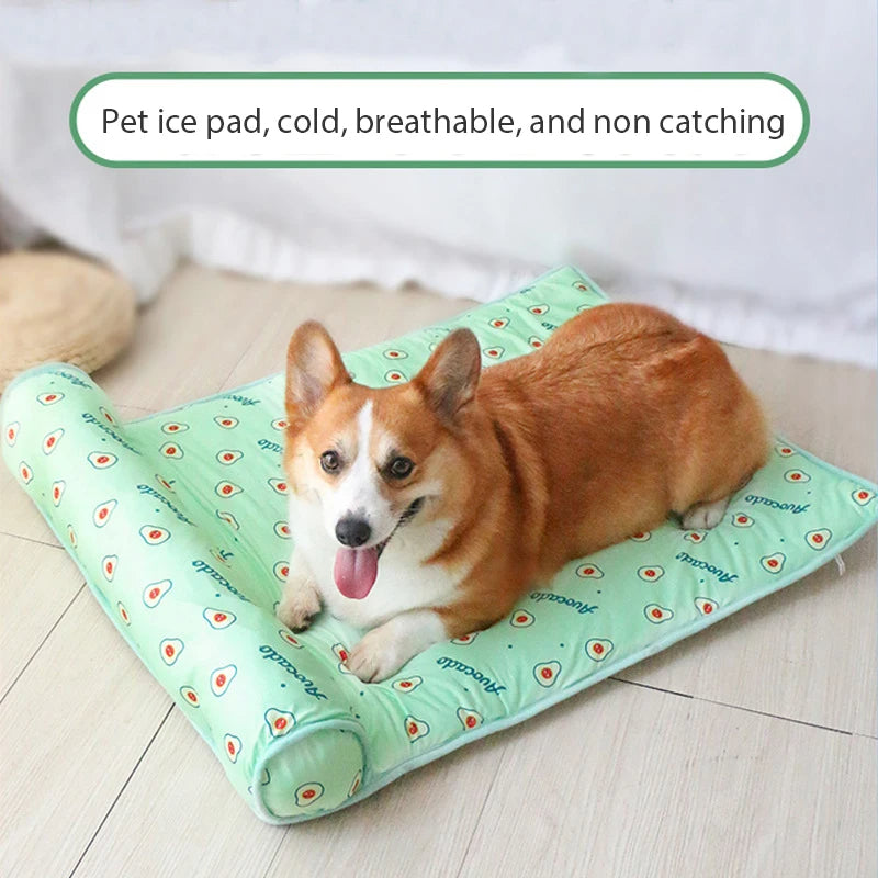 ChillPaws™ - Ultimativer Komfort für Ihr Haustier in diesem Sommer