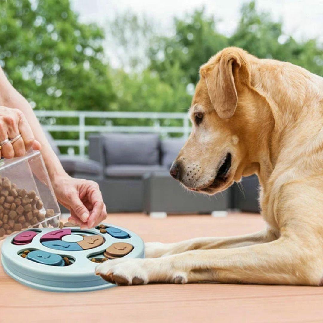 SmartPaws™️ - Fordere deinen Hund mit unterhaltsamen Leckerlis heraus